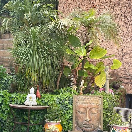הייר Logement Zen Sur La Colline Aux Mimosas מראה חיצוני תמונה