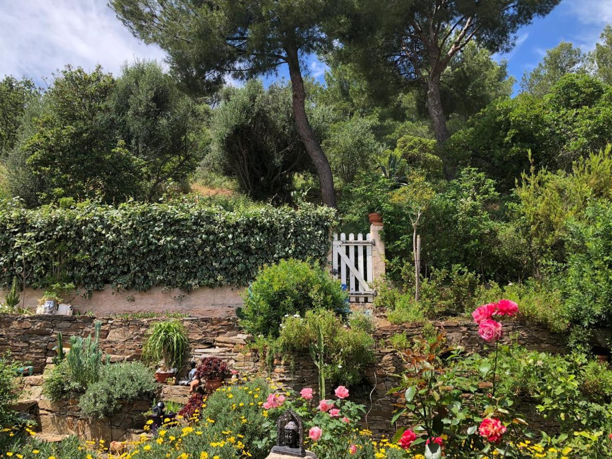 הייר Logement Zen Sur La Colline Aux Mimosas מראה חיצוני תמונה