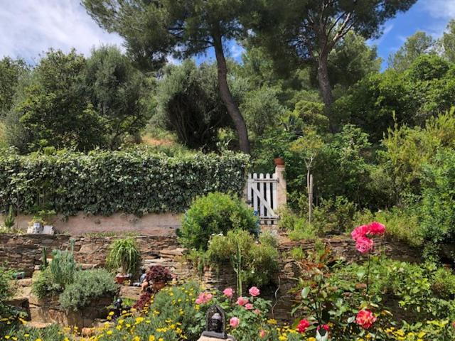 הייר Logement Zen Sur La Colline Aux Mimosas מראה חיצוני תמונה