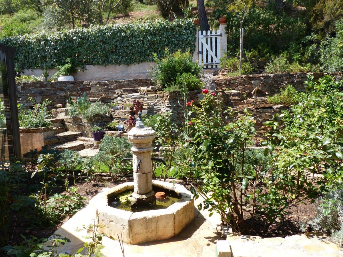 הייר Logement Zen Sur La Colline Aux Mimosas מראה חיצוני תמונה